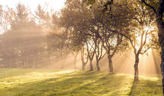 chateau_moetaslimi-Auberge On The Park